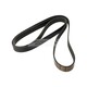 MULTIRIEM DAYCO 8PK2317HD